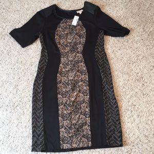 Size 14 Black and Tan dress from Dress Barn